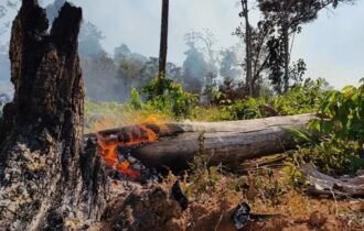 estudo-mostra-que-repeticao-do