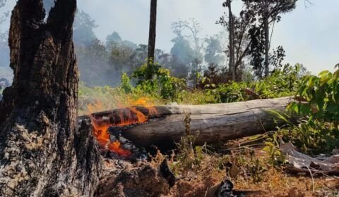 estudo-mostra-que-repeticao-do