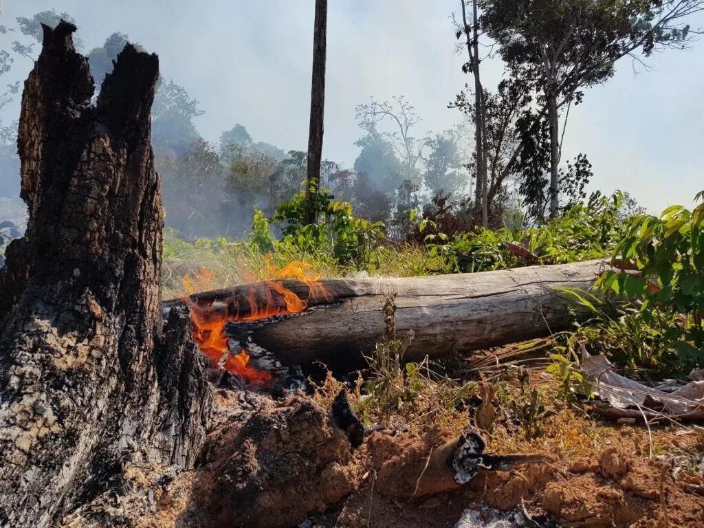 estudo-mostra-que-repeticao-do