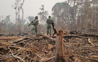 ibama-aplica-r-173-milhoes-em-