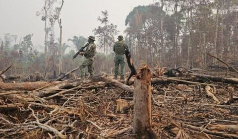 ibama-aplica-r-173-milhoes-em-