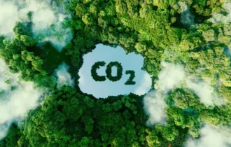 mercado-de-carbono-co2-investimentos-jpg