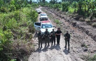 Ipaam aplica mais de R$ 30 milhões em multas na 4ª etapa da Operação Tamoiotatá 5