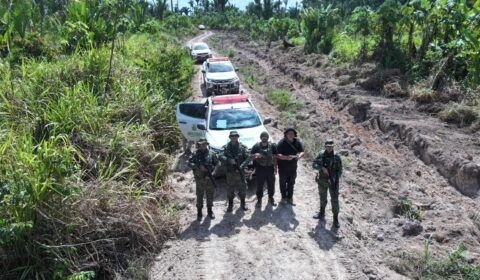 Ipaam aplica mais de R$ 30 milhões em multas na 4ª etapa da Operação Tamoiotatá 5
