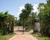 entrada-do-quilombo_cicero-pedrosa-980x653