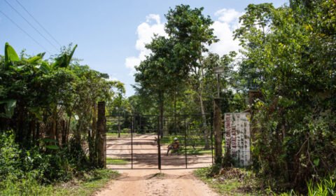 entrada-do-quilombo_cicero-pedrosa-980x653