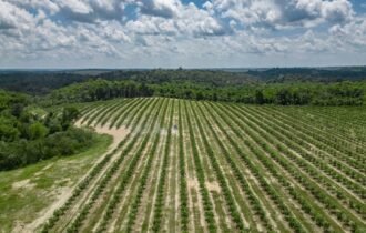 930d0edd-9734-4caa-b9a7-c1858eeef56f