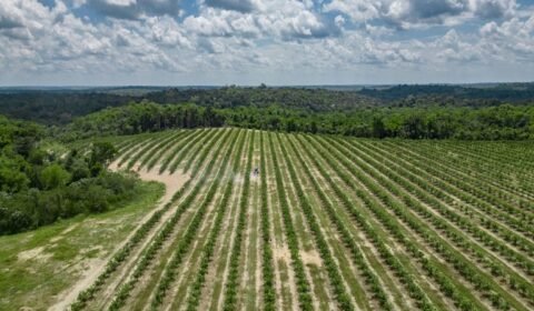 930d0edd-9734-4caa-b9a7-c1858eeef56f