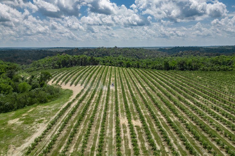 930d0edd-9734-4caa-b9a7-c1858eeef56f