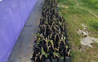 prefeitura-de-manaus-reforca-a