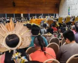 53217133282_f0efa9c013_o