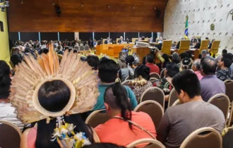 53217133282_f0efa9c013_o