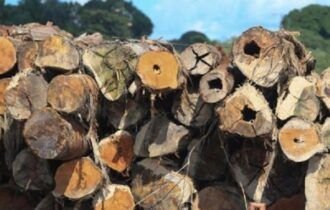 decisao-obriga-fraudadores-a-p