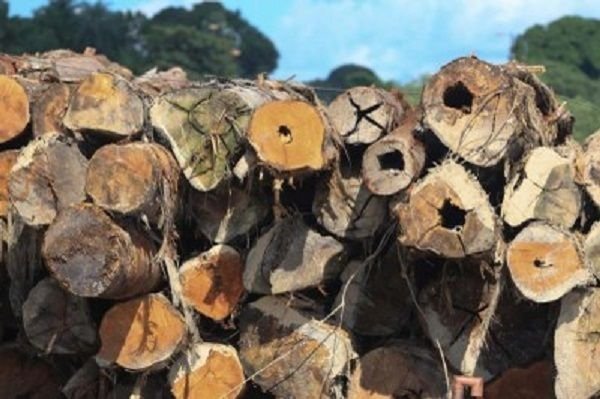 decisao-obriga-fraudadores-a-p