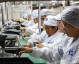 pib-do-amazonas-cresce-187-no-