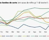 china-impoe-cotas-a-carne-bovi