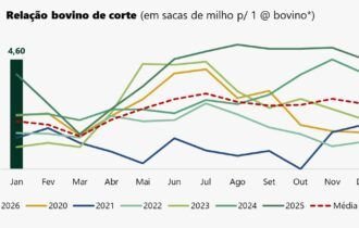 china-impoe-cotas-a-carne-bovi