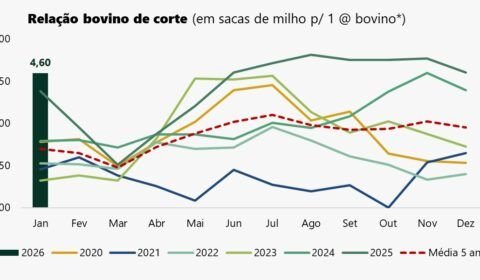 china-impoe-cotas-a-carne-bovi