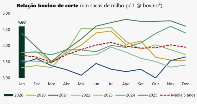 china-impoe-cotas-a-carne-bovi