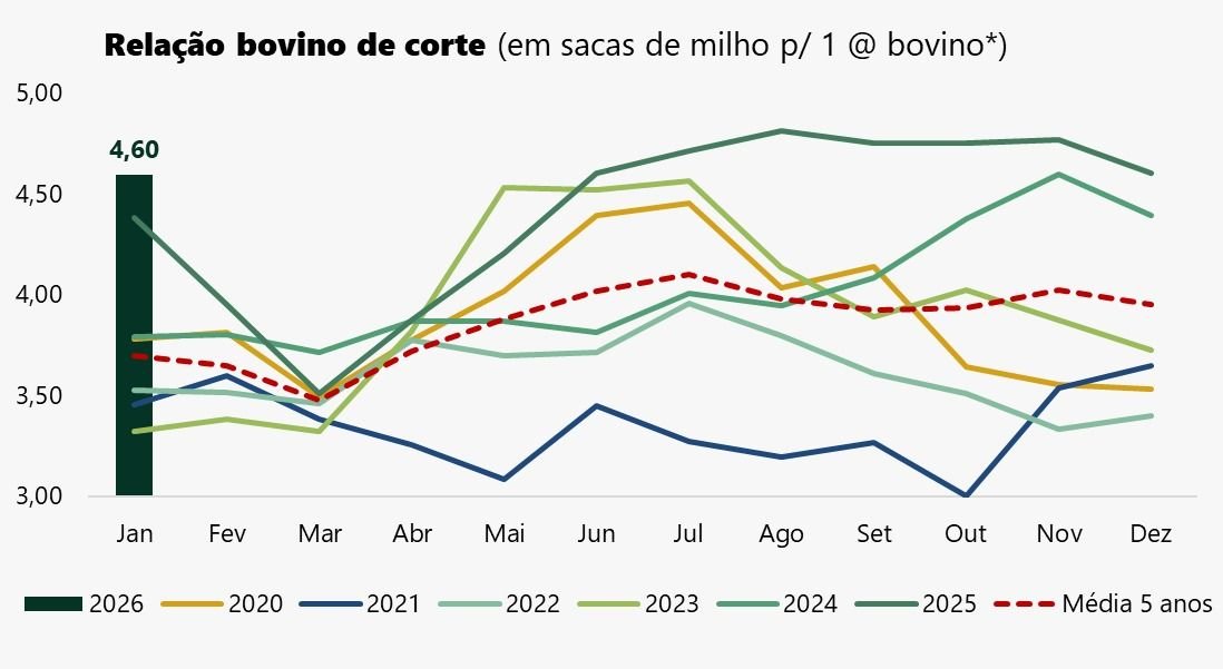 china-impoe-cotas-a-carne-bovi