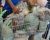 ffraz_150120_dsc31785590-1