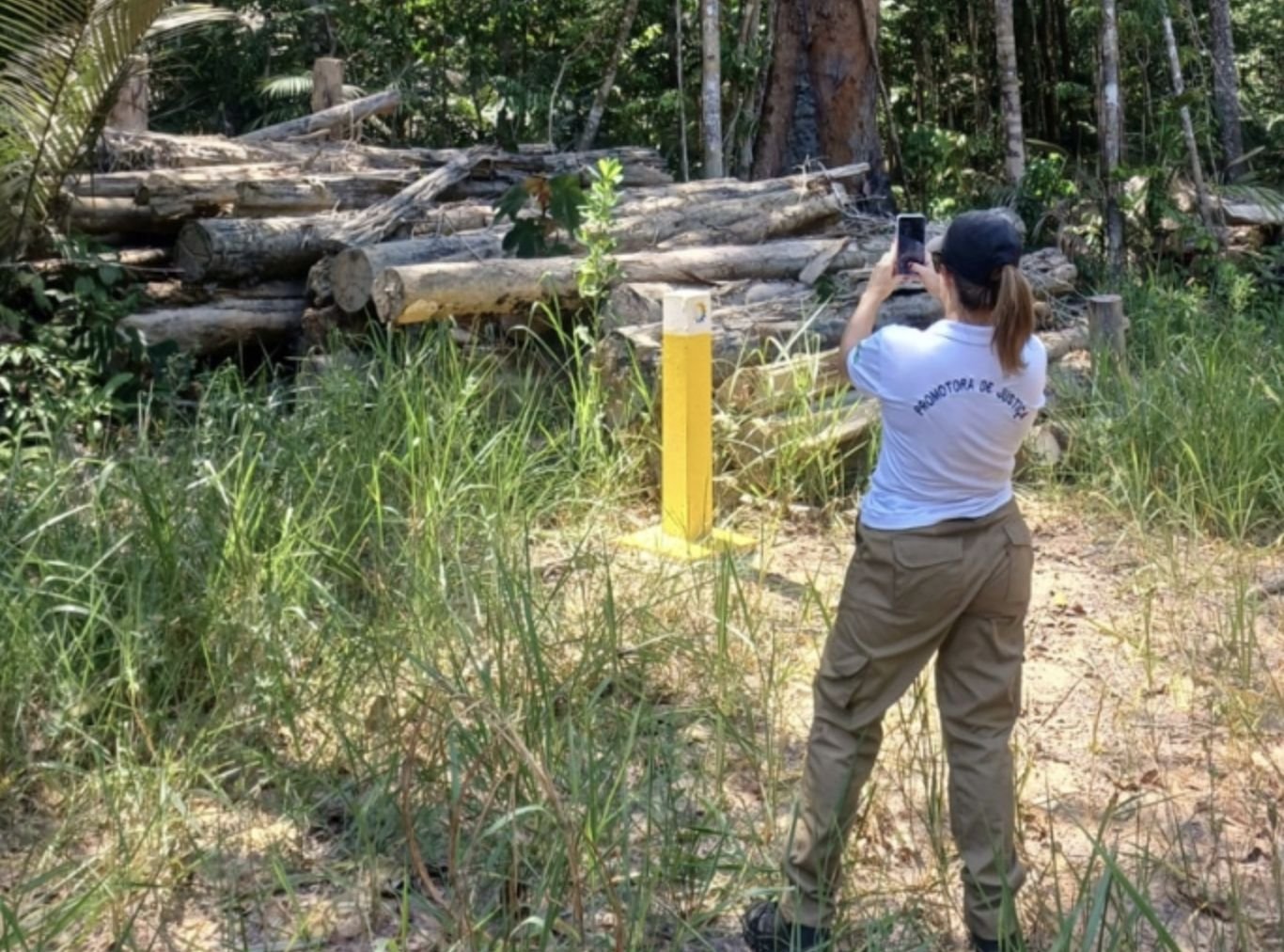 mp-investiga-eneva-e-construto