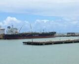 mpf-defende-habilitacao-de-con