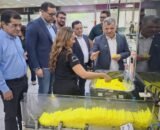 9a25943f-209e-459e-975c-3bb449ca20fa