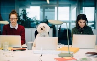 Empresas incorporam pets à rotina corporativa