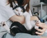 relacao-entre-tutor-e-pet-vai-alem-de-comandos-divulgacao-2