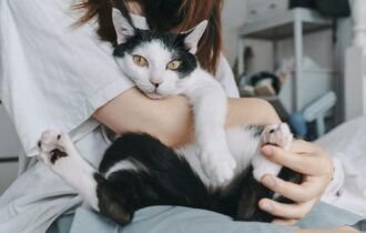 relacao-entre-tutor-e-pet-vai-alem-de-comandos-divulgacao-2