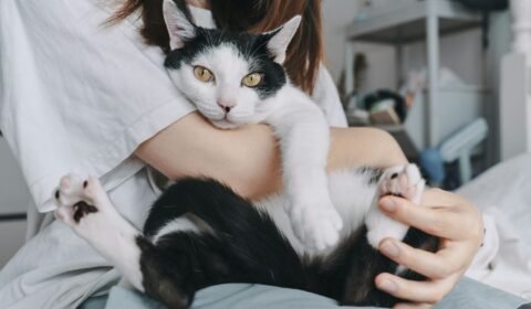 relacao-entre-tutor-e-pet-vai-alem-de-comandos-divulgacao-2