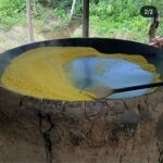 whatsapp-image-2026-02-13-at-12-50-42-1