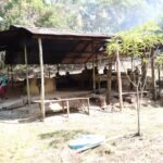 whatsapp-image-2026-02-13-at-12-50-43