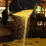 whatsapp-image-2026-02-13-at-12-50-44