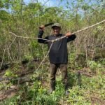 whatsapp-image-2026-02-13-at-12-50-46