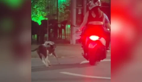 casal-e-flagrado-arrastando-cachorro-pela-coleira-ao-andar-de-moto