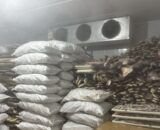 frigorifico-em-manacapuru-e-mu