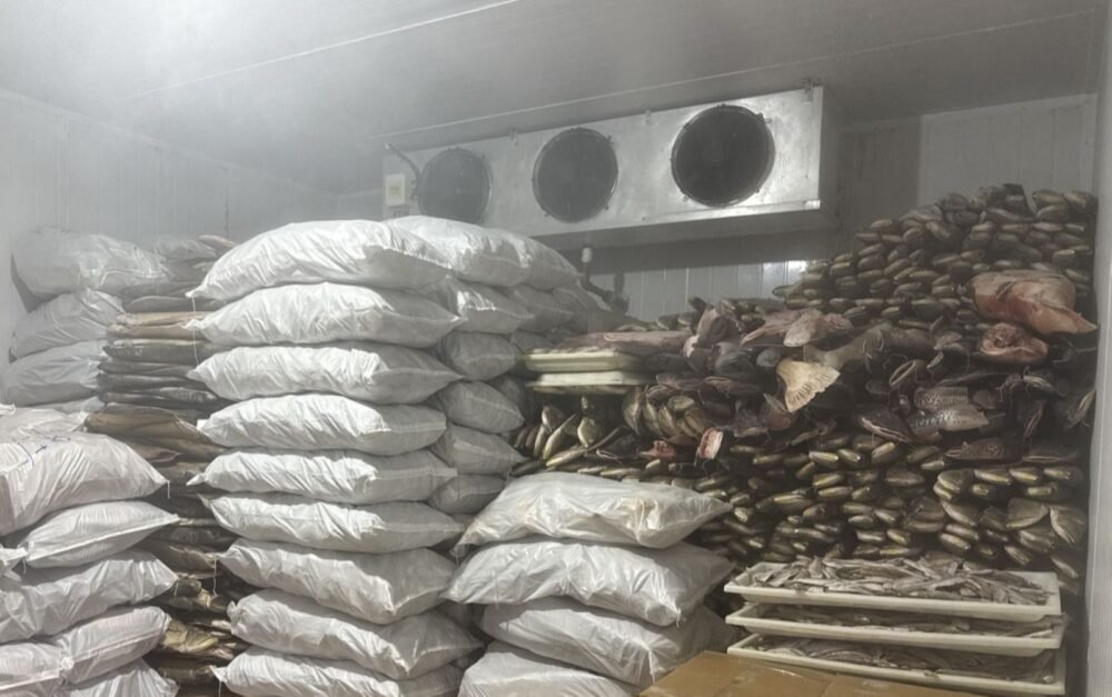 frigorifico-em-manacapuru-e-mu