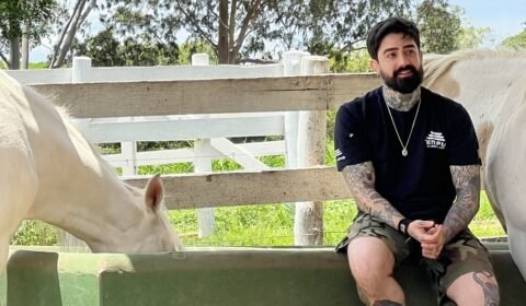 img-20260325-wa00341