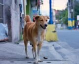 screenshot_2026-03-26-14-58-47-221_com-android-chrome