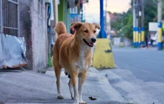 screenshot_2026-03-26-14-58-47-221_com-android-chrome