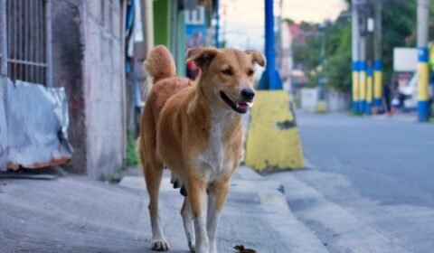 screenshot_2026-03-26-14-58-47-221_com-android-chrome