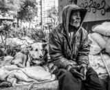 abandono-animal-chega-a-quase-