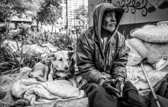 abandono-animal-chega-a-quase-