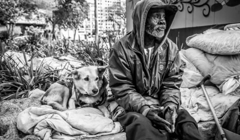 abandono-animal-chega-a-quase-