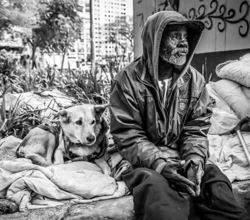 abandono-animal-chega-a-quase-