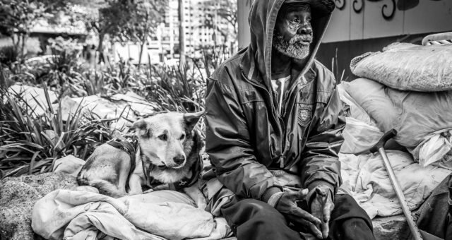 abandono-animal-chega-a-quase-