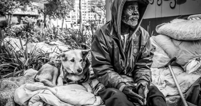 abandono-animal-chega-a-quase-