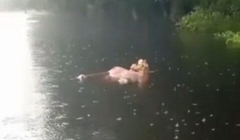 familia-encontra-corpo-boiando